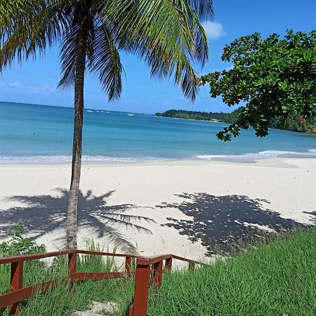 F3 Au Calme Vue Sur Mer 2 Chambres Balcon Terrasse La Trinite Bagian luar foto
