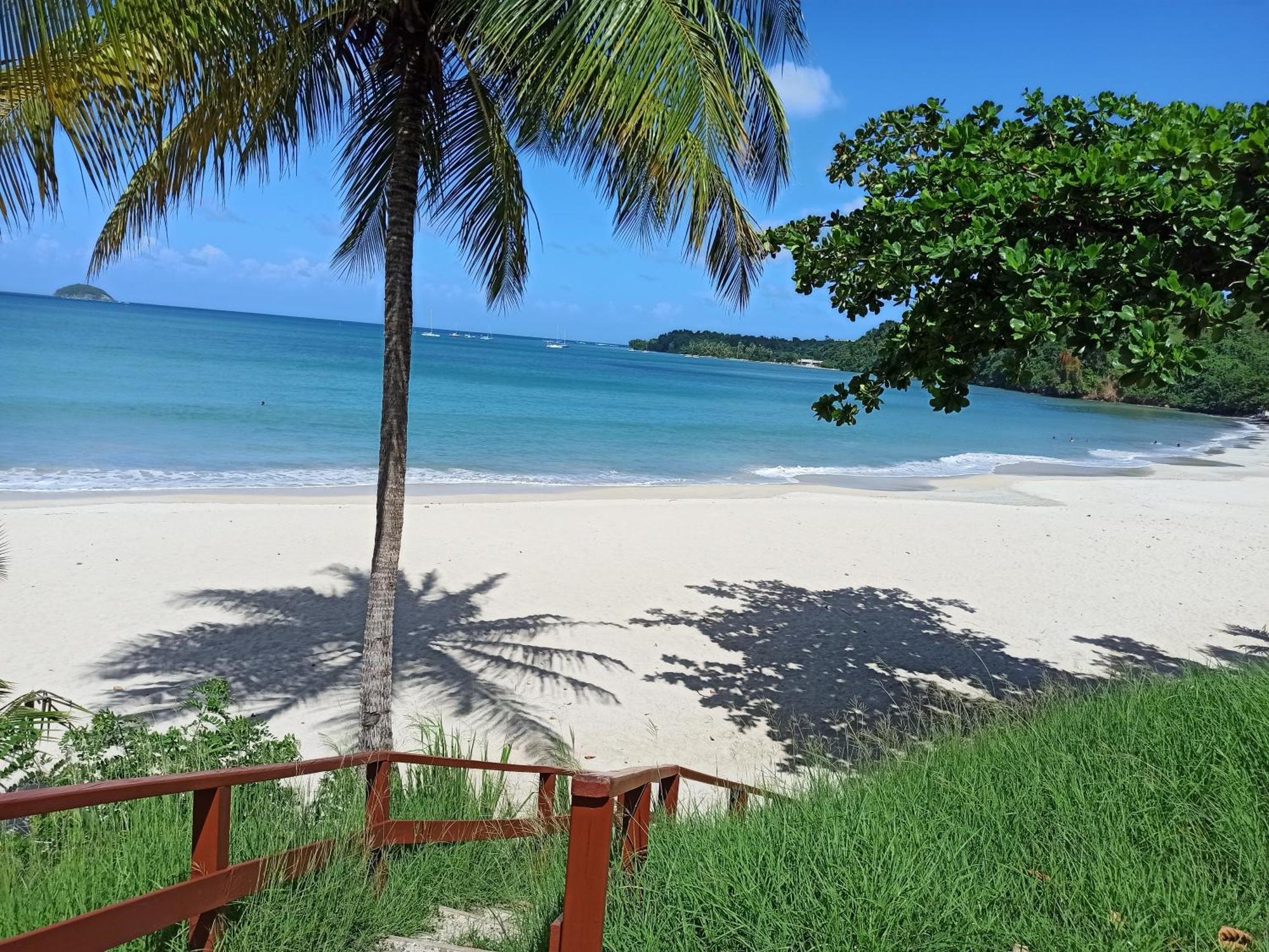 F3 Au Calme Vue Sur Mer 2 Chambres Balcon Terrasse La Trinite Bagian luar foto